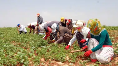 Tarım işçisini sevindiren karar: Hem para, hem izin kazandılar