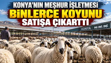 Konya'nın meşhur işletmesi binlerce koyunu satışa çıkarttı