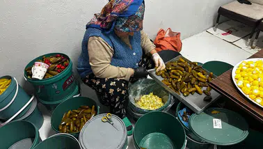 Bu turşunun sırrı suyunda. 700 yıllık kaynak