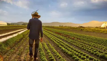 Konya çiftçisi için müjdeli haber: Tarımsal destek ödeme tarihi belli oldu