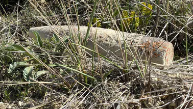 Başkentin ortasında: Mantar ararken patlamamış top mermisi buldu
