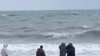 Sahile vuran çantadan çıkanlar herkesi şok etti