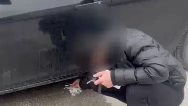 Çevreyi kirleten sürücüye örnek ceza: Zabıtaya böyle yakalandı
