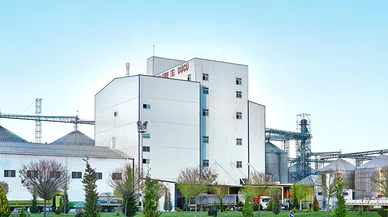 Konya'da üretildi: Et ve süt üretiminde yüksek verimlilik sağlayacak