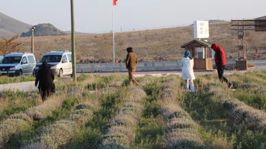 Tatilin son gününde Konya'ya akın başladı! En çok oralar ziyaret edildi