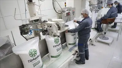 Türkiye Şeker Fabrikaları işçi alımı yapacak! İşte branşlar
