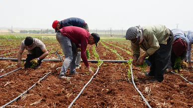 Konya'nın su hayali gerçek oluyor. Binlerce kişiye istihdam sağlayacak