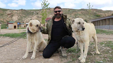 1965 yılında 3 Arkeolog Konya'dan İngiltere'ye hangi köpekleri götürdü? İşte o köpeklerin gizemi