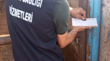 Acil! Türkiye'de bütün hayvan pazarları kapatıldı