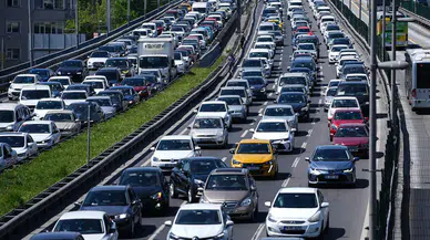 Gürültü kirliliği hayvanların psikolojisini bozup onları öfkelendiriyor