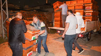 Konya'da üreticiler destekleniyor, doğal bal sofralara ulaşıyor