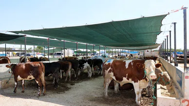 Konya bayrama hazırlanıyor! Selçuklu'da 18 nokta belirlendi