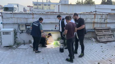 Dikkat! O markanın oda spreyi bakanlıkça yasaklandı
