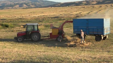 Çiftçiler dikkat! Patos tehlikeyi beraberinde getiriyor