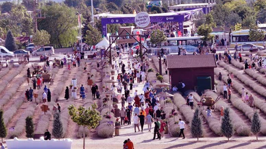Konyalılar mor kareler için hafta sonu buraya akın etti