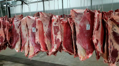 UKON açıkladı! Dana ve kuzu eti fiyatları giderek düşüyor