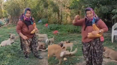 Konyalı Rukiye abladan hayvan yasasına tepki