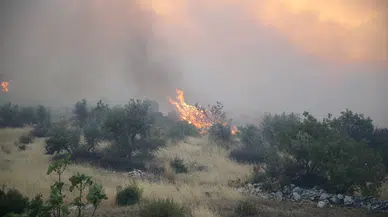 Konya'nın ciğerleri yanıyor! Derbent'te Orman yangını çıktı