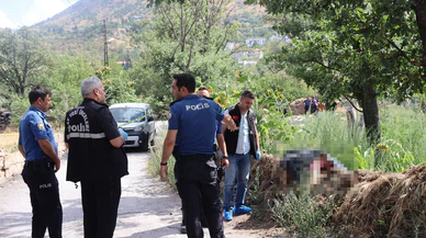 Sokak ortasında kanlı infaz