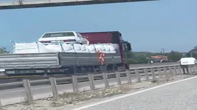 Şahin tırın üstünde seyahat etti