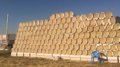 Üreticiler şokta! Saman fiyatları 2 katına çıkacak açıklaması