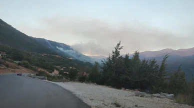 Ormanlık alandaki yangın turistik köye yaklaşıyor