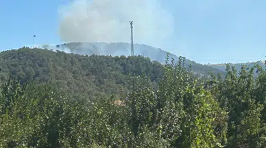 Konya'da korkutan orman yangını. Doğanhisar'a çok sayıda ekip sevk edildi