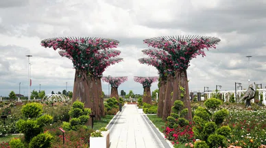 İşte Konya'daki fotoğraf tutkunlarının yeni cazibe merkezi