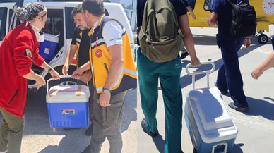 Konya'daki bebek 4 hastaya umut oldu