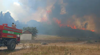Ankara’da başlayan yangın Bolu’ya sıçradı