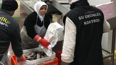 Beyşehir Gölü'nde Avcılara Sıkı Takip!
