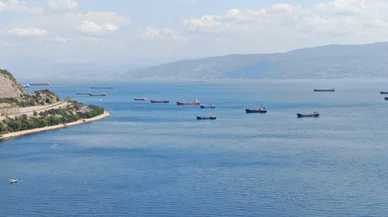 Körfez'deki toplu balık ölümleri mercek altında