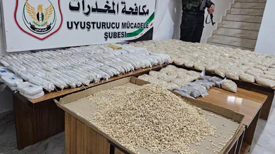 MİT bir şebekeyi daha çökertti