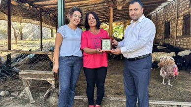 Kaymakamlıktan aldığı 10 koyunla başladı 2 bin koyun yetiştirdi