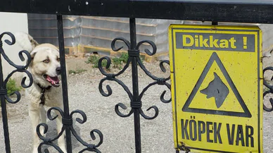 Köpeğin saldırma anı kameraya yansıdı