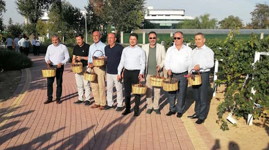 Konya'da gelenek bozulmadı! Bağ bozuldu