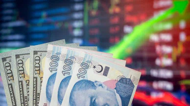 Türkiye ekonomisi doğru yolda mı? ABD'li ekonomist açıkladı