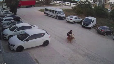 Köpeğini korumak için kendini siper etti