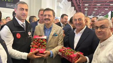 Konya'nın tescilli meyvesi Antalya'da boy gösterdi