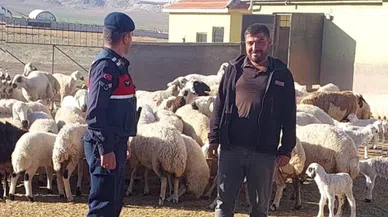 Konya'daki çobanın imdadına jandarma yetişti