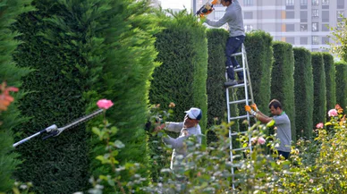 Konya'daki park ve bahçeler yenilendi