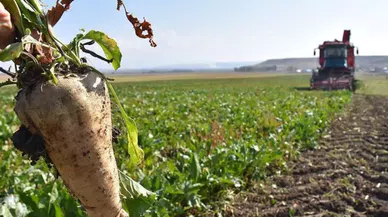 Karapınar'da pancar sezonuna start verildi
