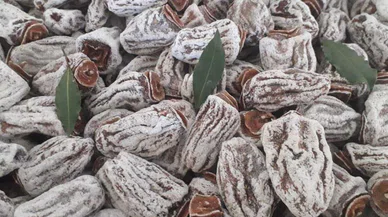 Kurusu yaşından daha fazla ediyor!