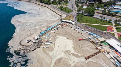 Marmara'da deniz salyası kabusu dönüyor