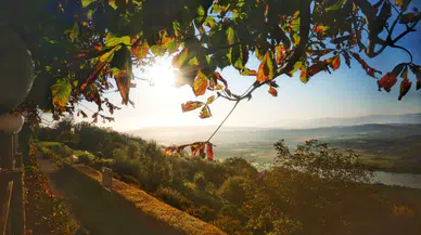 Havalar ne zaman ısınacak? En son hava durumu tahminleri
