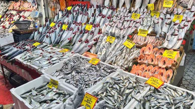Balık tezgahlarında palamut yerini hamsi ve çinekop bıraktı