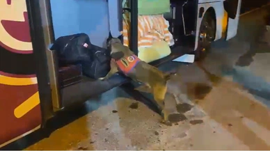 Detektör köpek uyuşturucuya geçit vermedi