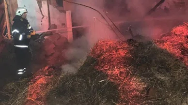 Ahırda çıkan yangın 6 buzağıyı telef etti, yüzlerce balya yandı