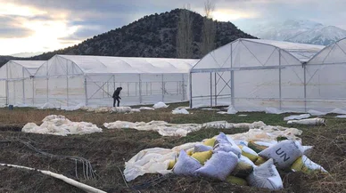 Konya'nın bu ilçesinde sera destekleri sürüyor