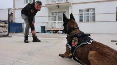 Konya'nın narkotik köpekleri zehir tacirlerinin korkulu rüyası oldu